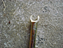 Inesca Tauro 97 3