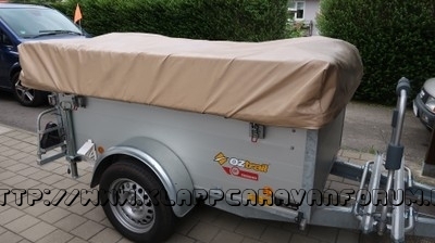 Dingo Tec und Küche