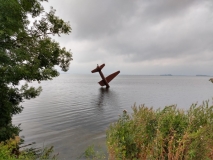 IMG_20190802_110809566