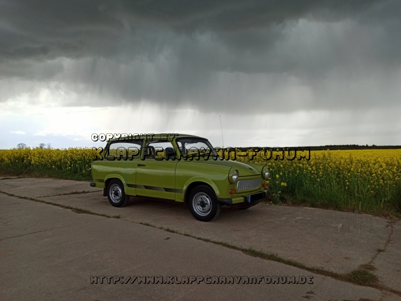 IMG_20200501_144735_b2