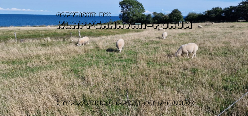 Tårup Strand Camping