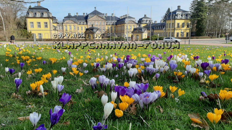IMG-20200315-WA0007