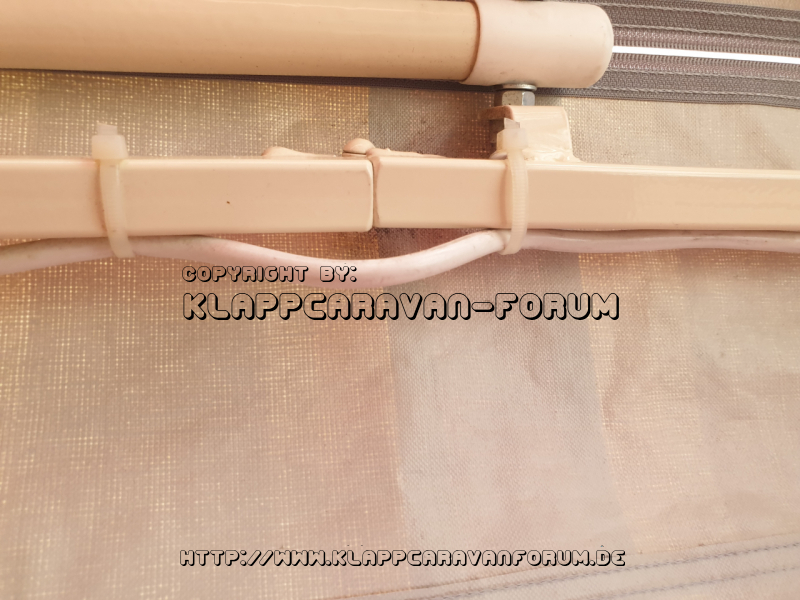 Paradiso Klappschaniere