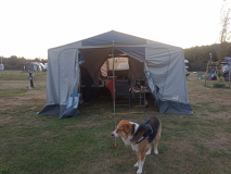 Schepp Camptour Zugvogel / CT9