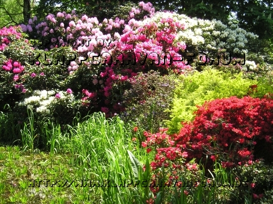 Pfingsten 2008 - Brombachsee