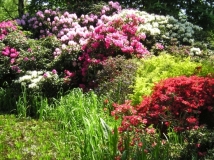 Pfingsten 2008 - Brombachsee