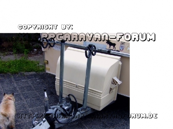 Fahrradträger_2