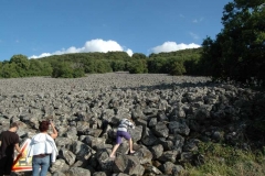 Basaltfeld bei St.-Côme-d'Olt - 2