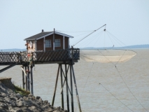 An der Gironde - 2009 - Frankreich