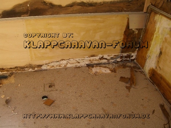 Esterel CC42 Einmal neu Bitte ;-) Komplettrestauration