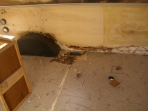 Esterel CC42 Einmal neu Bitte ;-) Komplettrestauration