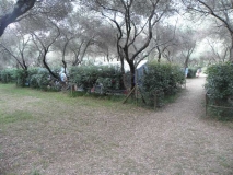 Korsika Camping Calamar 2011
