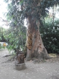Korsika Camping Calamar 2011