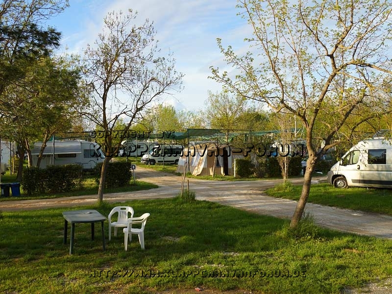 Camping in Pisa