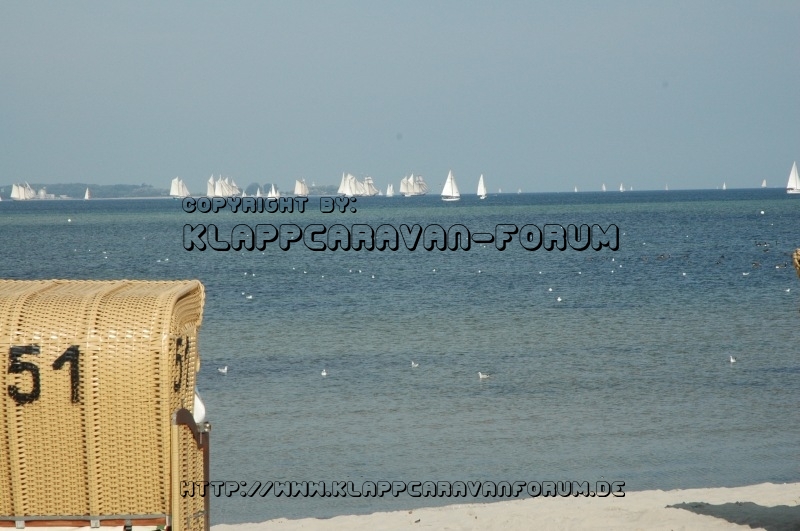 Nordtreffen 2013 4
