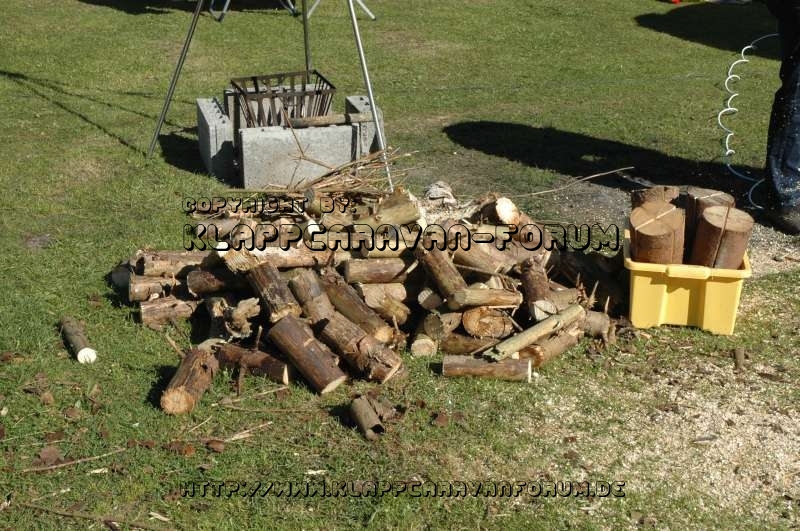 Holz 2