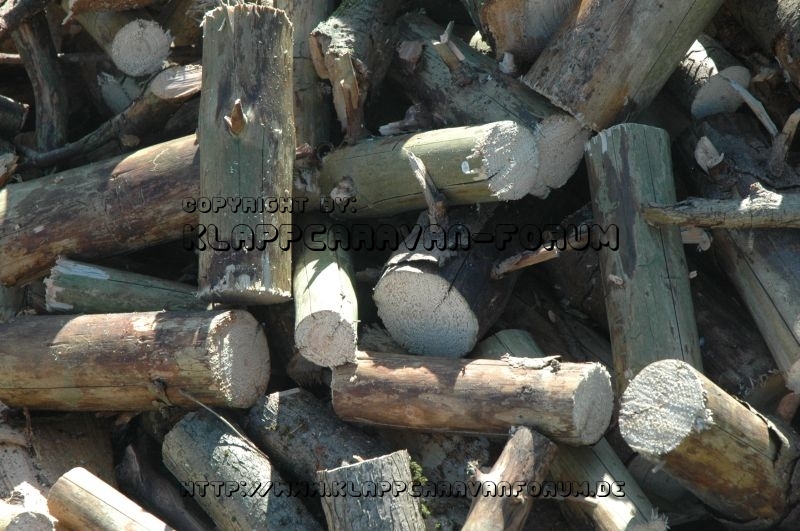 Holz 5