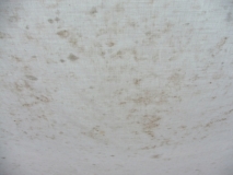 DSCF0832