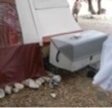 Combi Camp Deichselbox