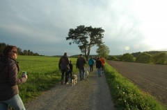 Abendwanderung 4