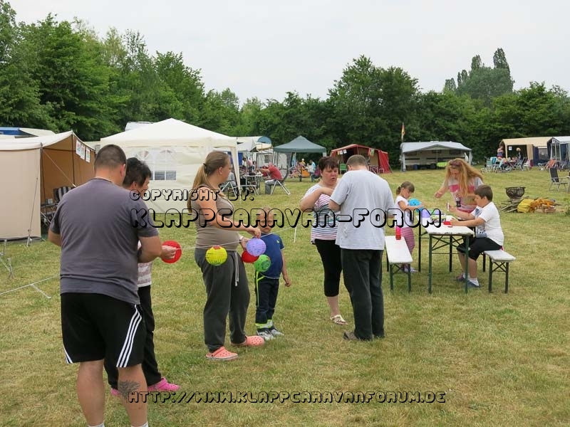 Nahe am Sommer VI 2015